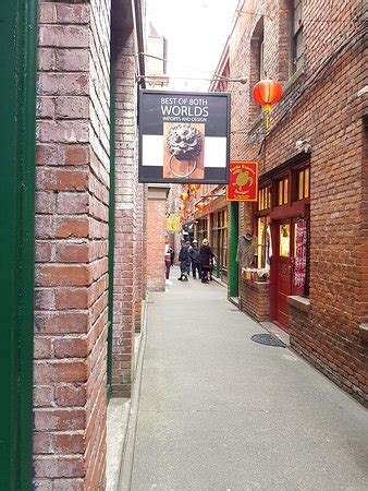 fan tan hotel|FAN TAN ALLEY: All You Need to Know BEFORE You Go (with .